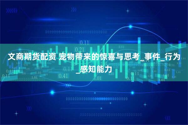 文商期货配资 宠物带来的惊喜与思考_事件_行为_感知能力