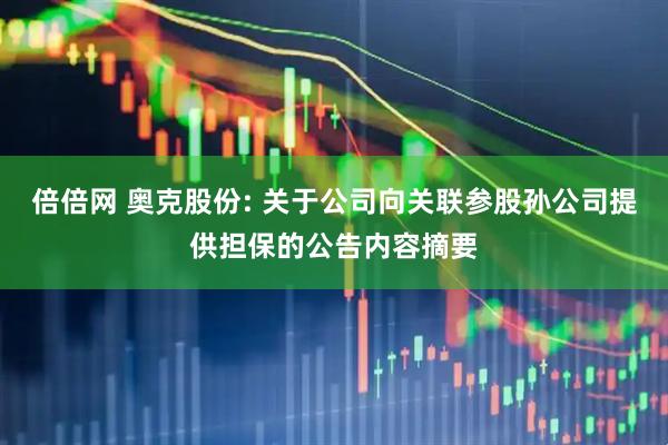倍倍网 奥克股份: 关于公司向关联参股孙公司提供担保的公告内容摘要